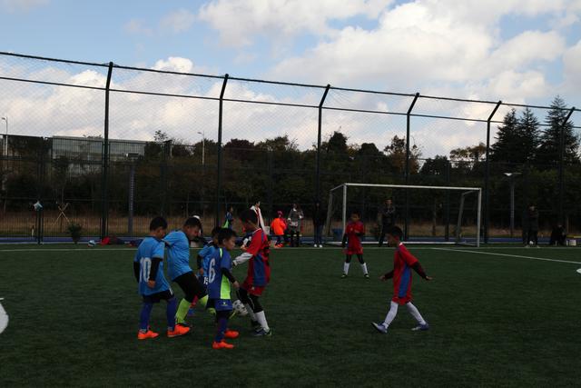 日本在联合国的外交失误引发琉球问题再度进入国际视野